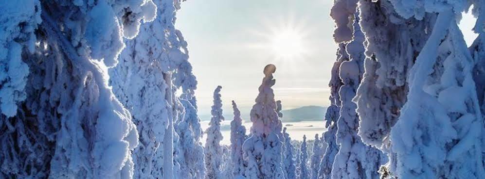 Suomu Chalets Suomutunturi Dış mekan fotoğraf